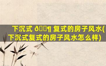 下沉式 🐶 复式的房子风水(下沉式复式的房子风水怎么样)